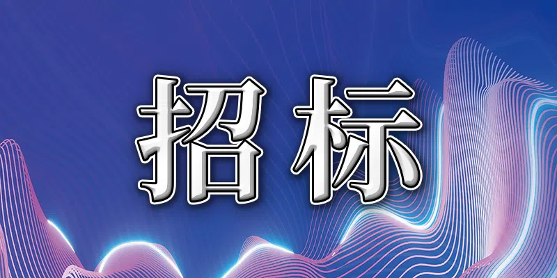 辽阳市河东新城保障房地块土地整理工程项目招标公告