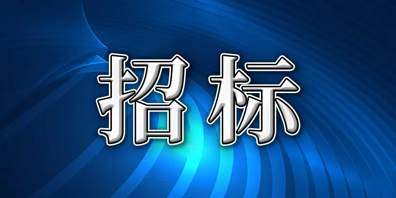 叶县文化广场北区充电站建设项目竞争性磋商公告